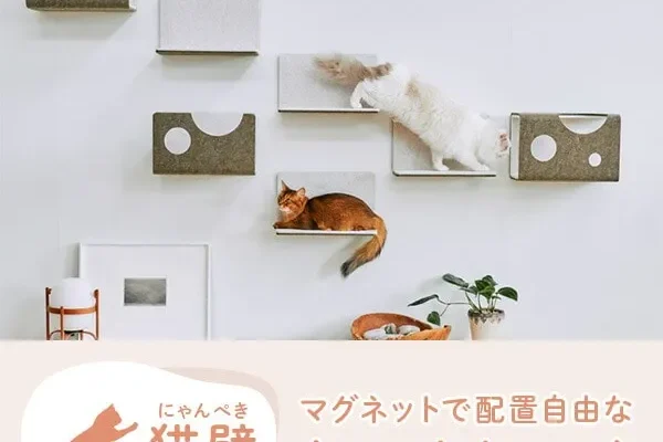 「ねことの暮らし」～ねこちゃんとの暮らしにも快適さを～